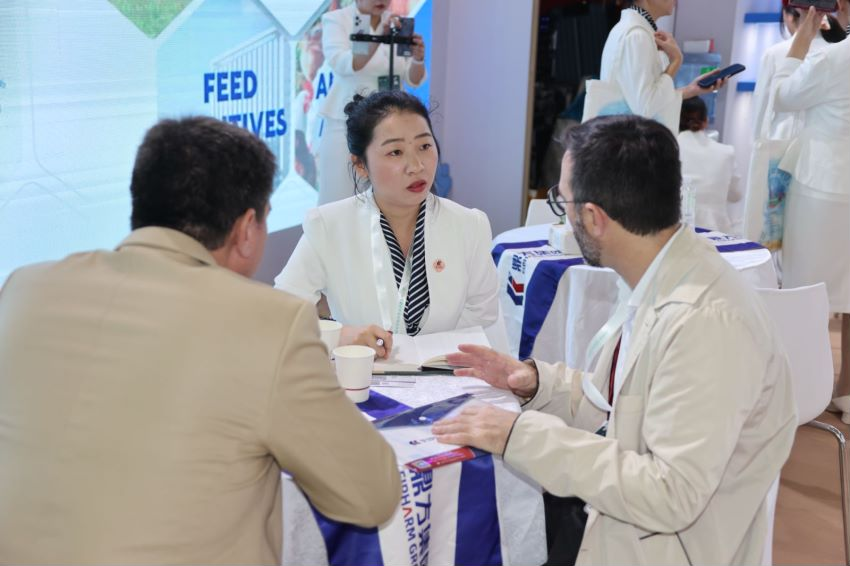 ��ʱ������Ӫ�������Ϻ�CPHI