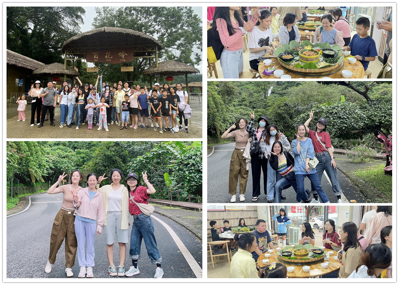 �������ֲ�