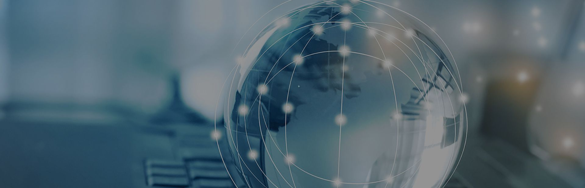 ý������