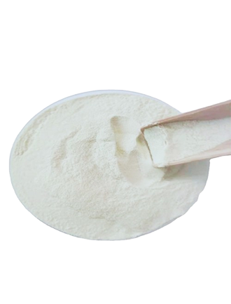 �����ῼ